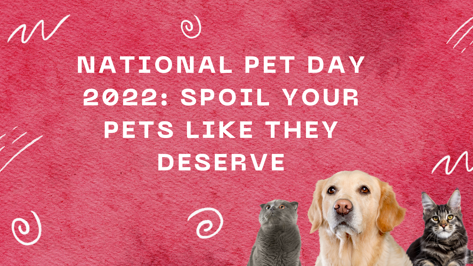 National Pet Day 2022: Spoil Your Pets Like They Deserve