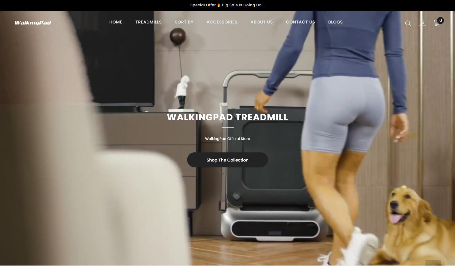 WalkingPad Affiliate Program